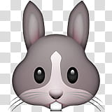emojis, gray rabbit art transparent background PNG clipart