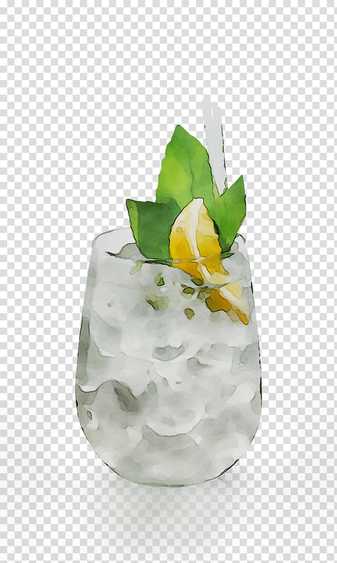 Cocktail, Cocktail Garnish, Gin And Tonic, Mint Julep, Food, Vodka And Tonic, Plant, Drink transparent background PNG clipart