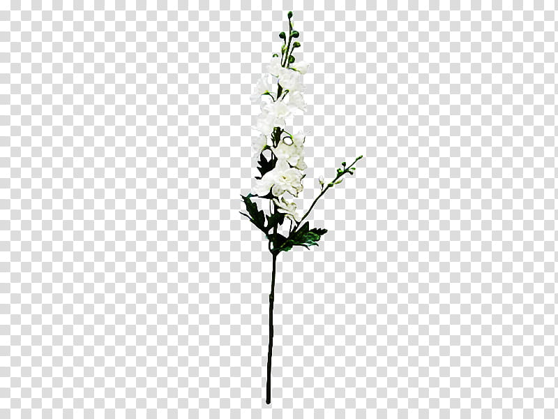 Artificial flower, White, Plant, Cut Flowers, Tree, Twig, Delphinium, Plant Stem transparent background PNG clipart