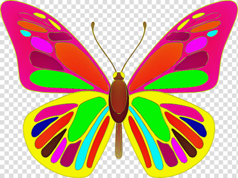 moths and butterflies butterfly cynthia (subgenus) insect symmetry, Cynthia Subgenus, Pollinator, Wing, Brushfooted Butterfly transparent background PNG clipart