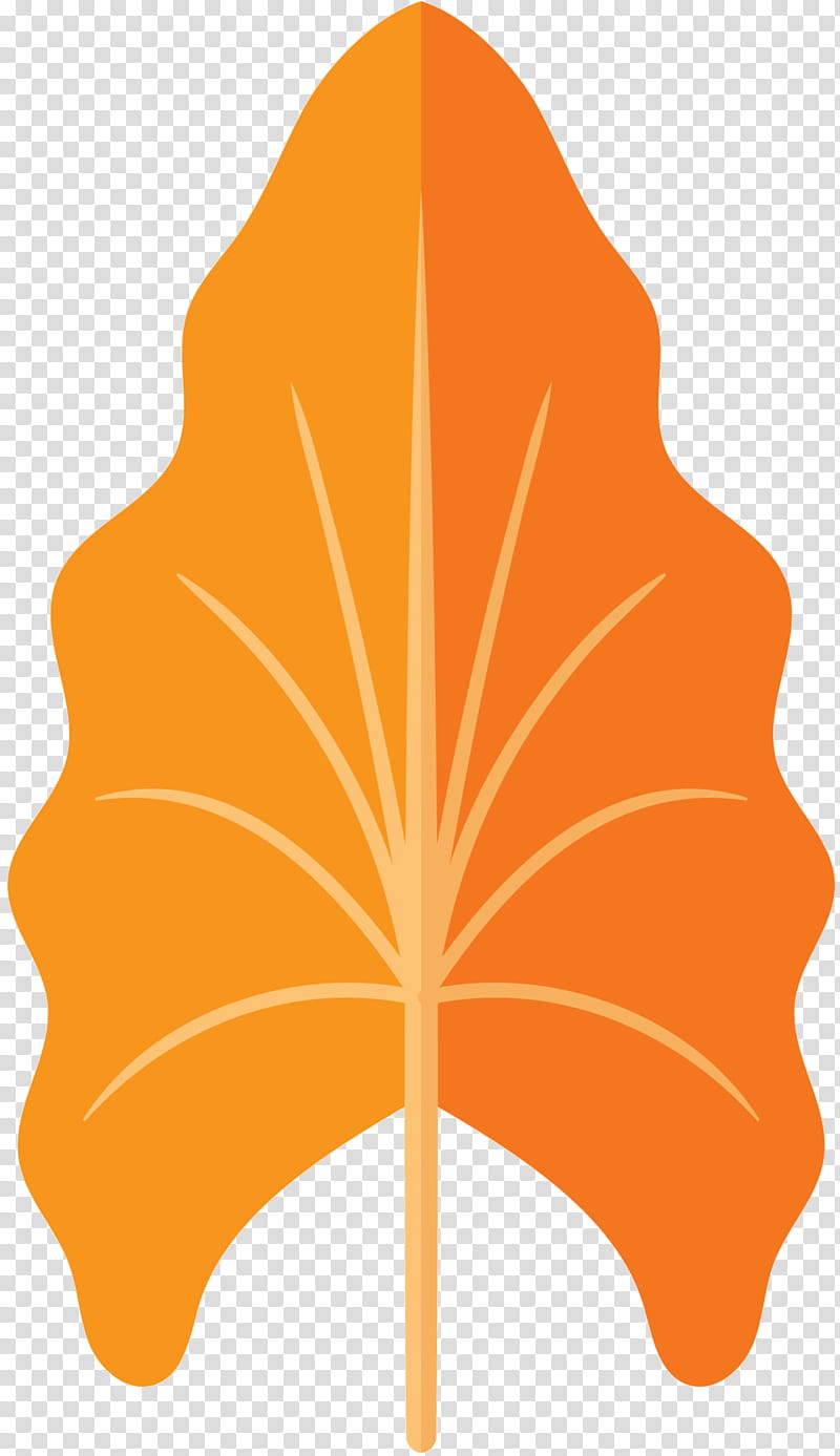 Plane, Leaf, Flower, Tree, Plants, Orange, Symmetry, Maple Leaf transparent background PNG clipart