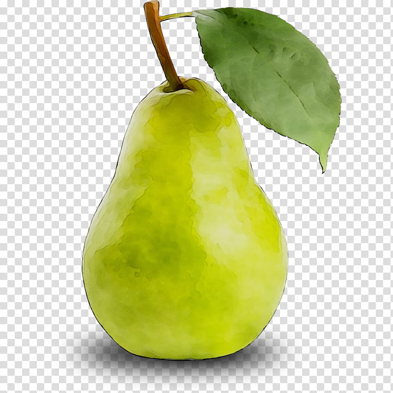 Tree Of Life, Pear, Still Life , Apple, Fahrenheit, Fruit, Plant, Food transparent background PNG clipart