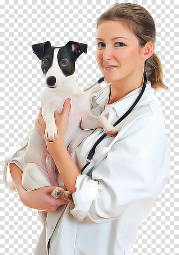 Stethoscope, Dog, Dog Breed, Japanese Terrier, Companion Dog, Chilean Fox Terrier, Tenterfield Terrier, Italian Greyhound transparent background PNG clipart