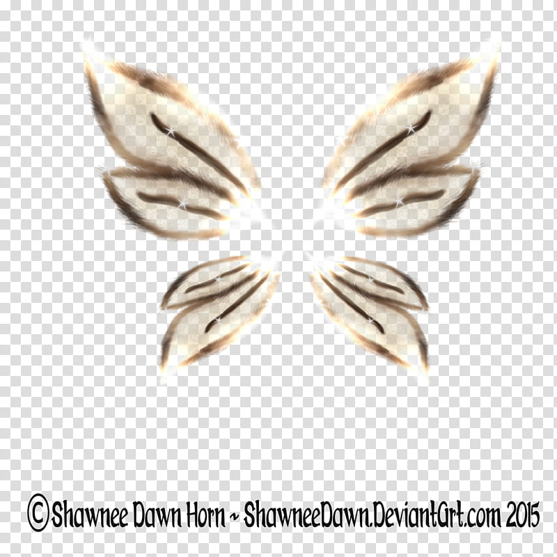 Fuzzy Wings age transparent background PNG clipart