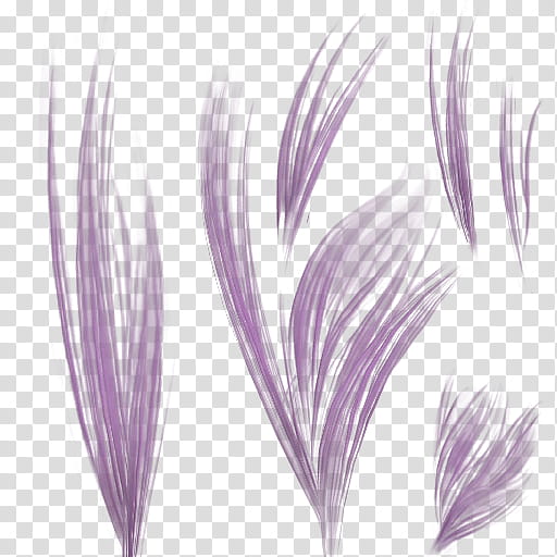 DOALR Mugen Tenshin Shinobi for XNALara XPS, purple grass transparent background PNG clipart