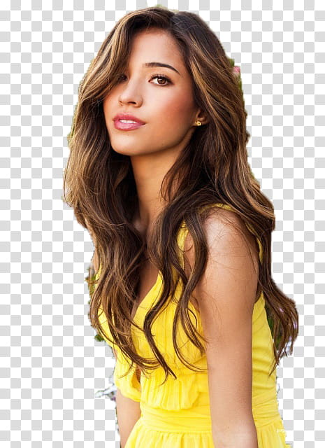 kelsey chow transparent background PNG clipart