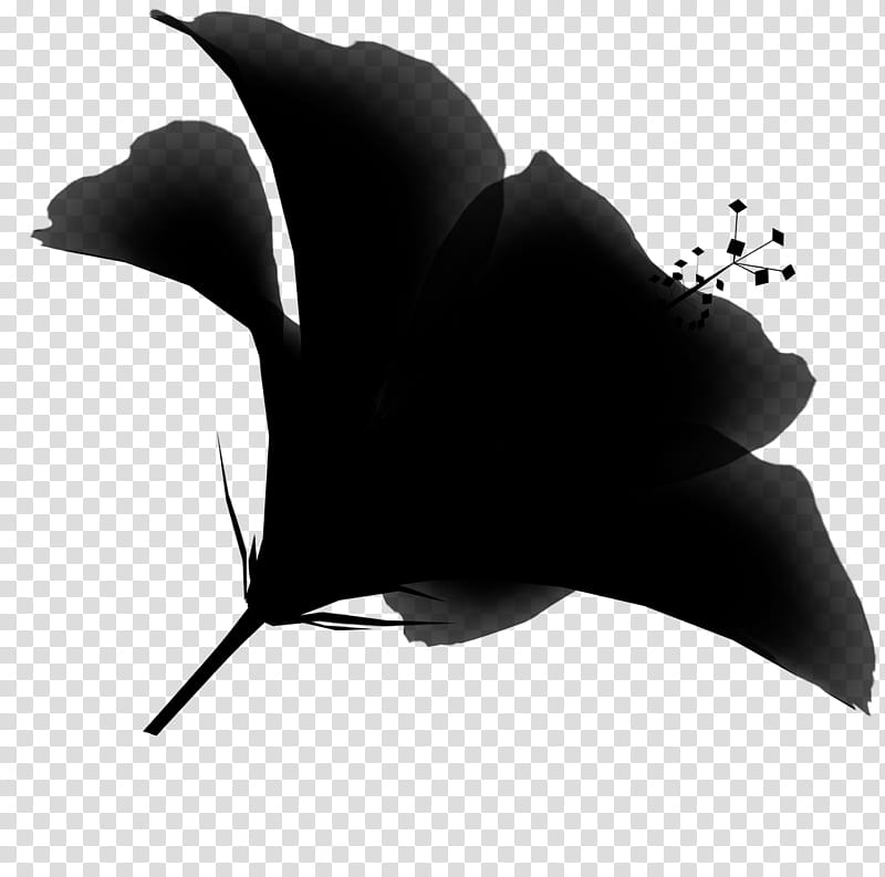 Leaf Silhouette, Black M, Manta Ray, Blackandwhite, Dolphin, Rays And Skates transparent background PNG clipart