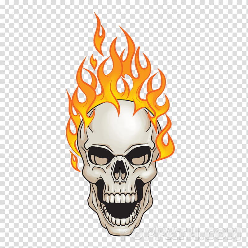 Human Skull Drawing, Cartoon, Skull Art, Head, Bone, Logo transparent background PNG clipart