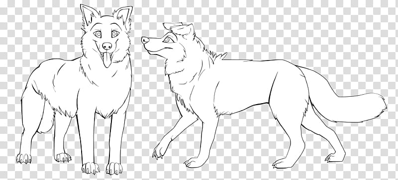 Free Border Collie Line Art, two dogs standing illustration transparent background PNG clipart