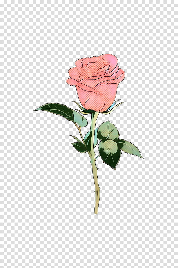 Watercolor Pink Flowers, Pop Art, Retro, Vintage, Garden Roses, Cabbage Rose, Artificial Flower, Cut Flowers transparent background PNG clipart
