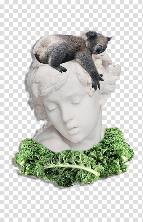 Aesthetic, koala bear on top of headbust transparent background PNG clipart