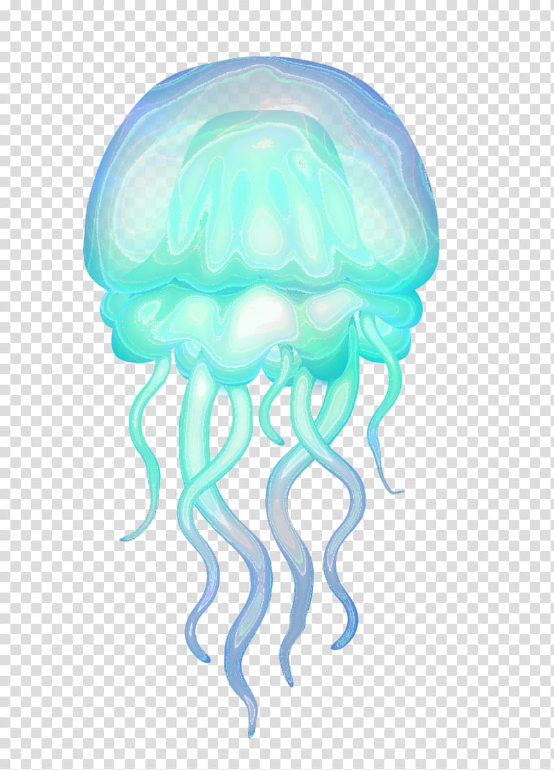Color, Jellyfish, Cartoon, Cnidaria, Lighting transparent background PNG clipart