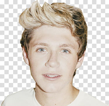 Super One Direction, Niall Horan transparent background PNG clipart