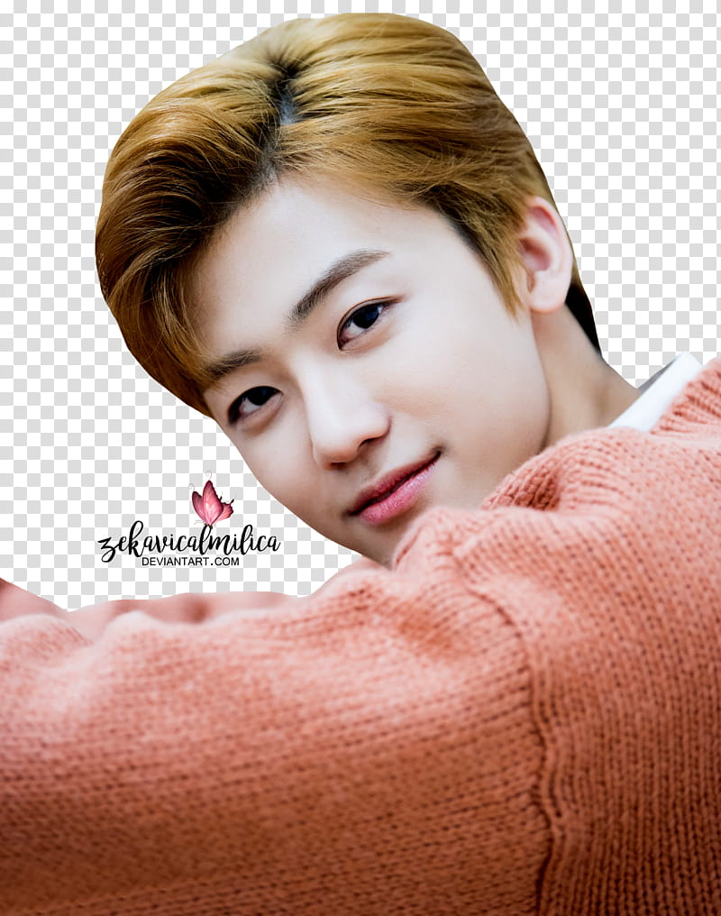 NCT Jaemin Sweet Valentine Day transparent background PNG clipart