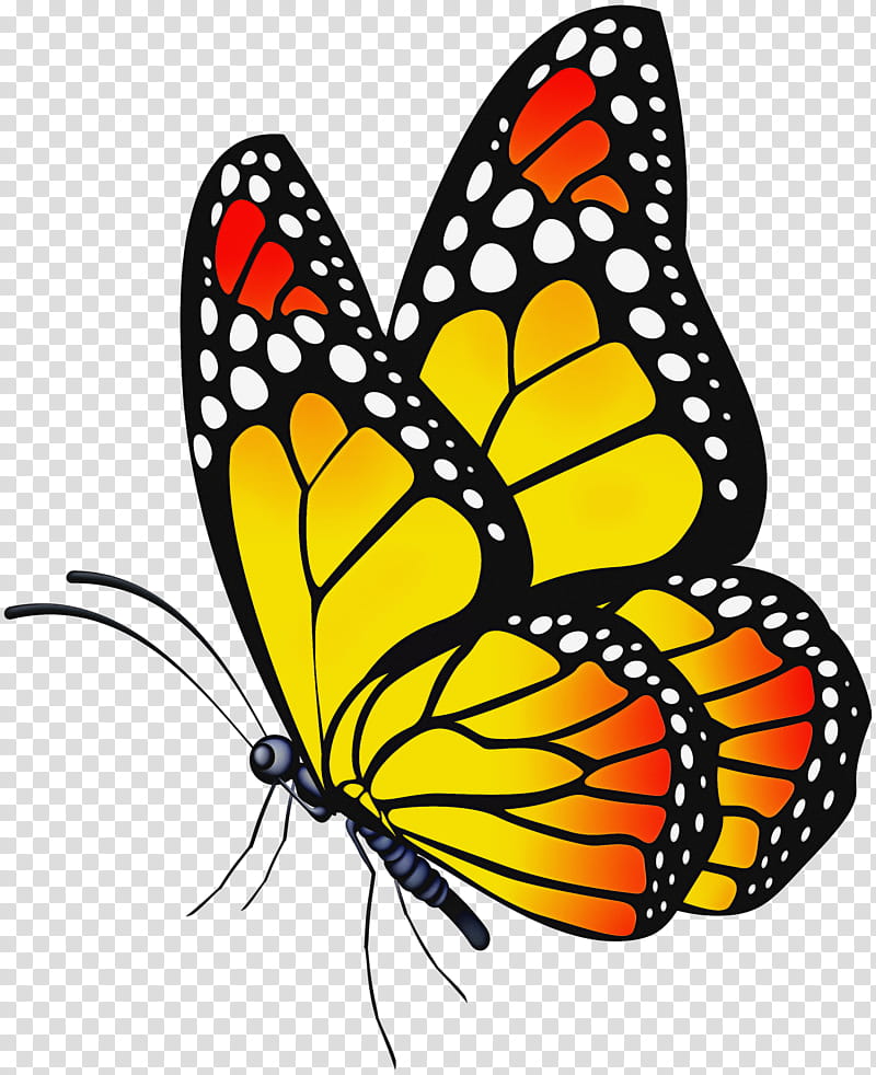 Monarch butterfly, Moths And Butterflies, Insect, Viceroy Butterfly, Pollinator, Brushfooted Butterfly, Cynthia Subgenus transparent background PNG clipart