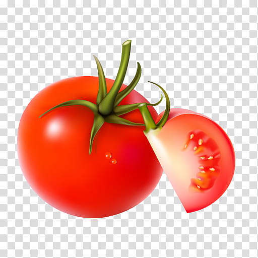 Onion, Plum Tomato, Vegetable, Ketchup, Tomato Sauce, Food, Fruit, Ingredient transparent background PNG clipart