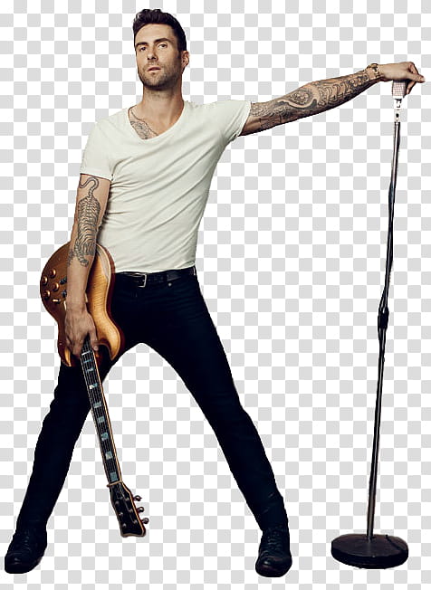 Adam Levine transparent background PNG clipart