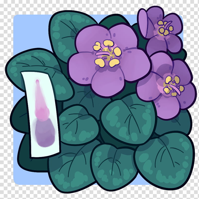 Floral Flower, Violet, Cartoon, African Violets, Purple, Poster, Plants, Petal transparent background PNG clipart
