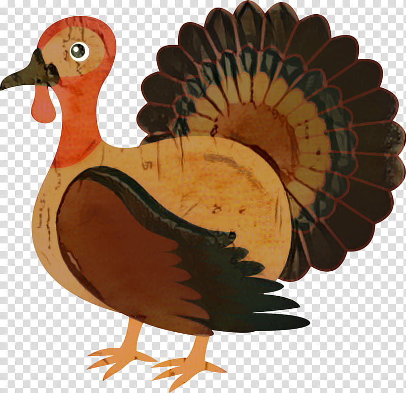 Turkey Thanksgiving, Turkey Meat, Wild Turkey, Thanksgiving Dinner, Roasting, Cartoon, Bird, Beak transparent background PNG clipart