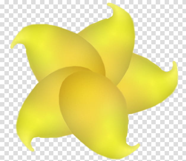 F Flower Head , yellow flower illustration transparent background PNG clipart