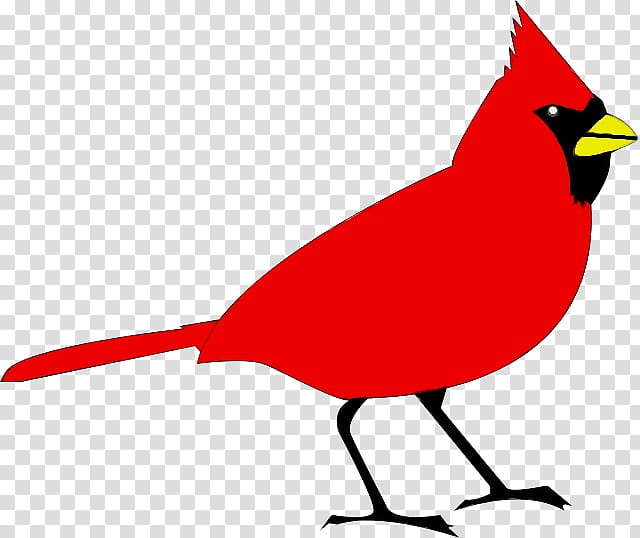 bird northern cardinal beak cardinal, Watercolor, Paint, Wet Ink, Songbird, Perching Bird transparent background PNG clipart