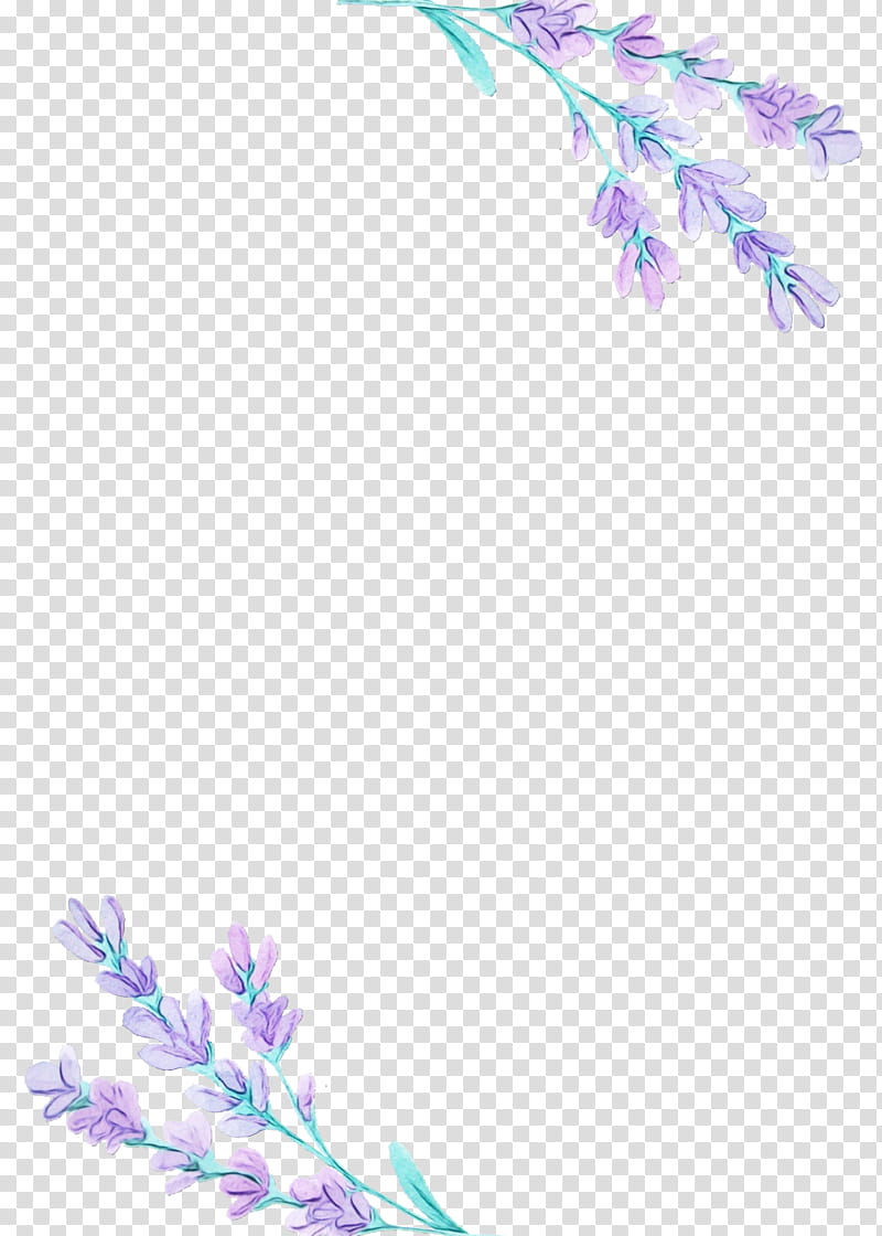 Purple Watercolor Flower, Watercolor Painting, English Lavender, Drawing, Lilac, Plant, Pedicel, Wildflower transparent background PNG clipart