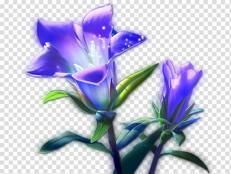 Texture , purple gentian flowers art transparent background PNG clipart
