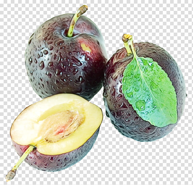Blossom, Prunus Sect Prunus, Food, Plum Blossom, Prune, Natural Foods, Blutpflaume, Common Plum transparent background PNG clipart