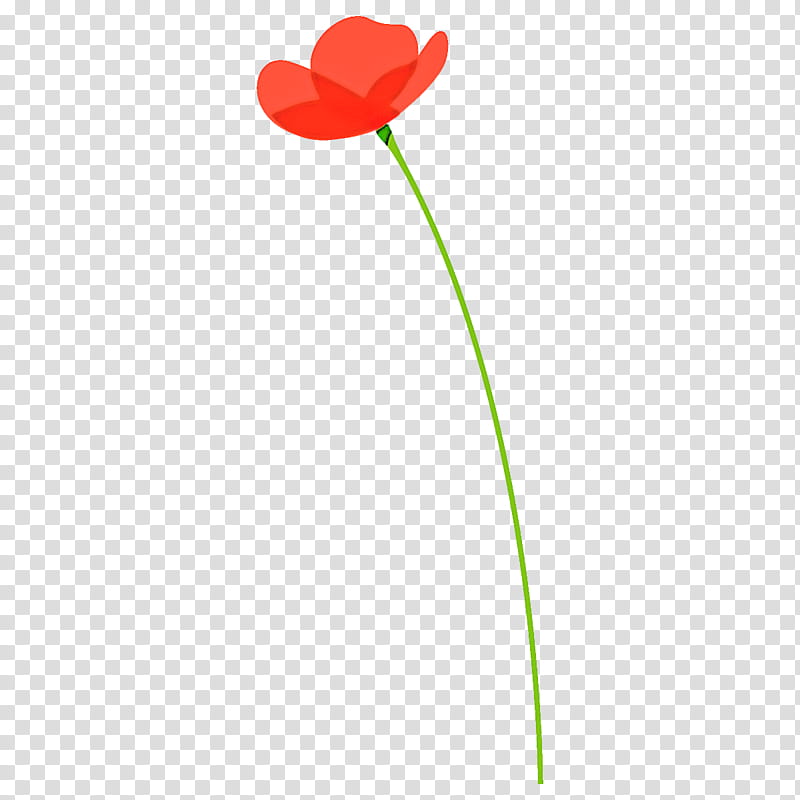 poppy flower, Red, Plant Stem, Pedicel, Tulip, Coquelicot, Petal transparent background PNG clipart