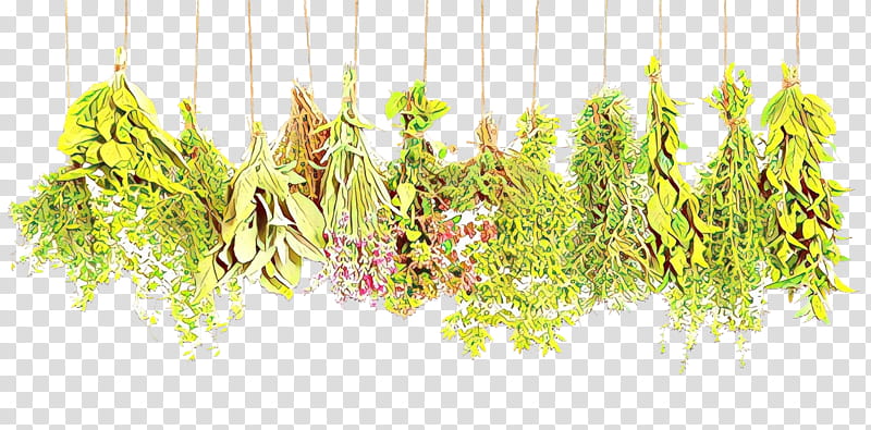Cartoon Grass, Medicine, Herb, Herbalism, Health, Traditional Medicine, Dietary Supplement, Therapy transparent background PNG clipart
