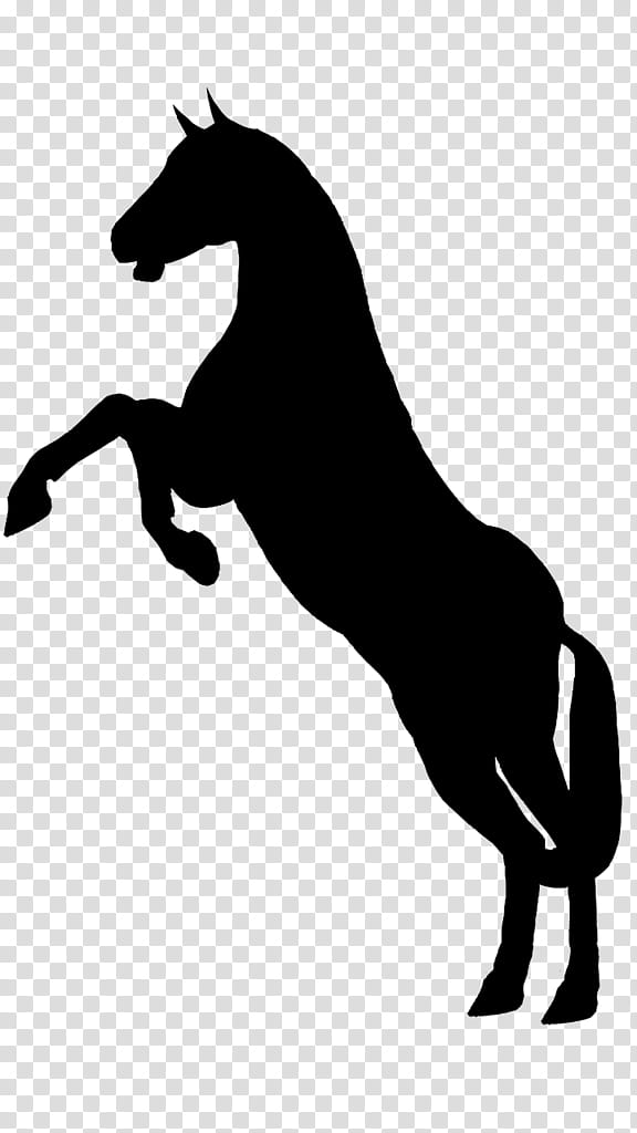 Horse, Silhouette, Drawing, Horse And Buggy, Black, Rearing, Mane, Jumping transparent background PNG clipart