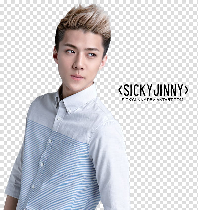 EXO Lotte Duty Free Magazine, Sicky Jinny transparent background PNG clipart