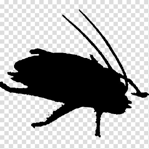 Silhouette Pest, Insect, Membrane, Snout, Stencil, Boar transparent background PNG clipart