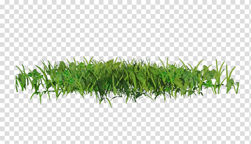D Spring Grass, green grasses transparent background PNG clipart