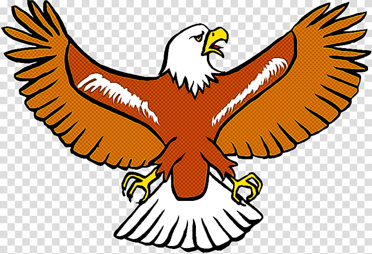 Eagle Logo, Bald Eagle, Drawing, Text, Language, Number, Bird, Bird Of Prey transparent background PNG clipart