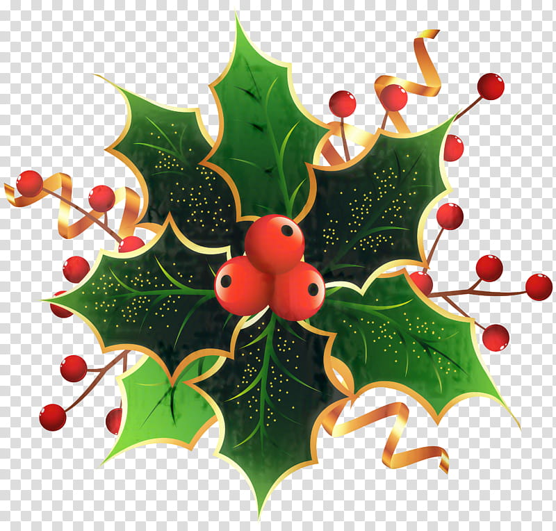 Christmas Decoration, Aquifoliales, Christmas Ornament, Christmas Day, Holly, American Holly, Leaf, Christmas transparent background PNG clipart
