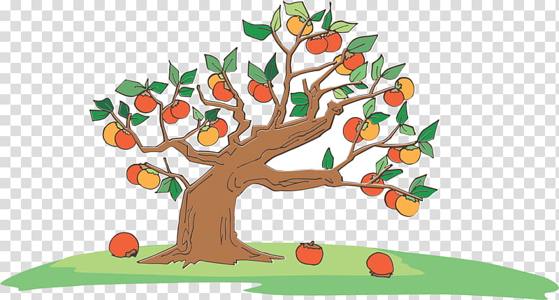 Cartoon Nature, Persimmon, Japanese Persimmon, Fruit, Food, Tree, Branch, Plant transparent background PNG clipart