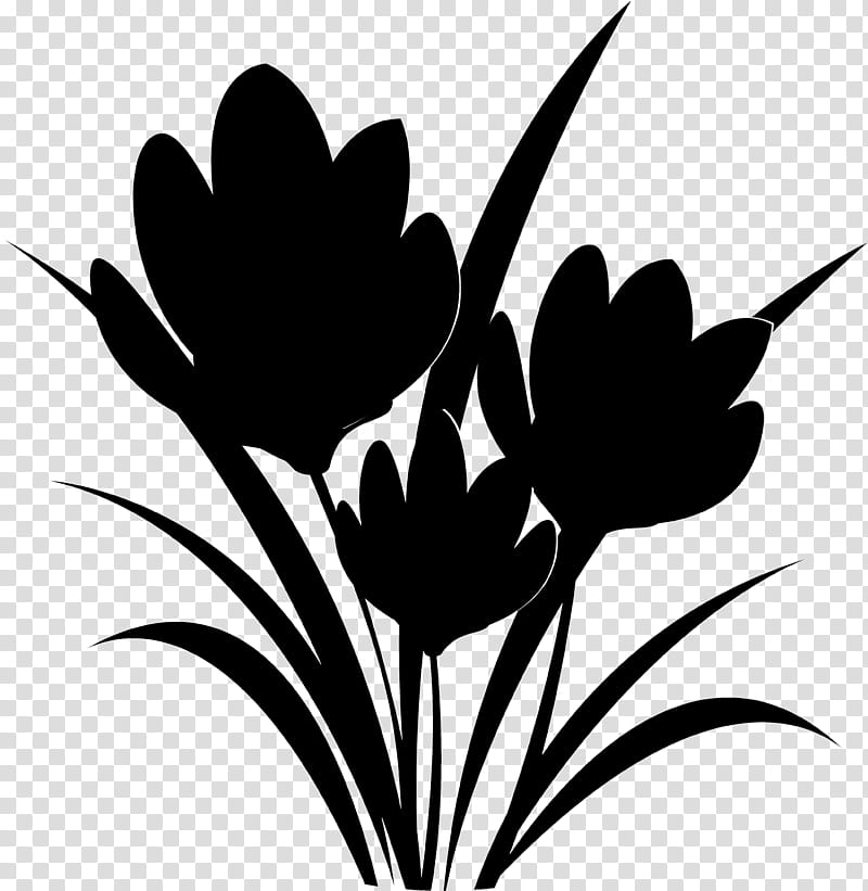 Tree Silhouette, Tulip, Plant Stem, Leaf, Computer, Branching, Plants, Black M transparent background PNG clipart