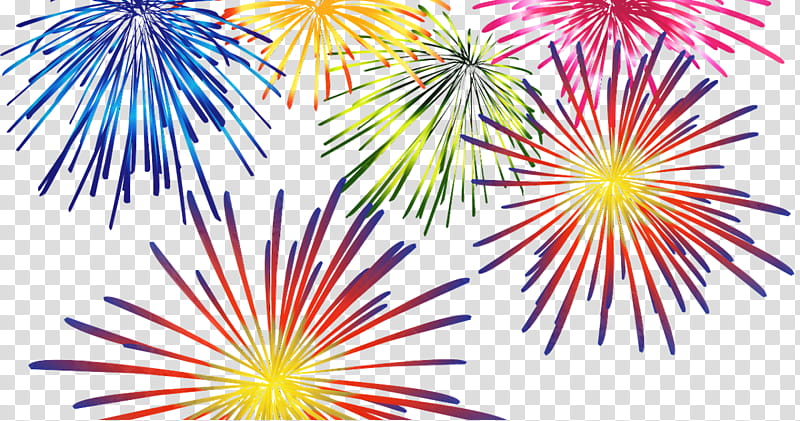 New Year Fireworks, Cartoon, Music , Hotel, Lublin, Lublin County, Line, Event transparent background PNG clipart