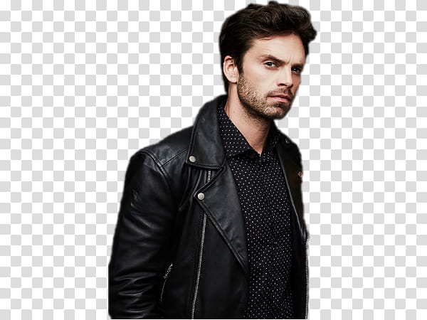 Sebastian Stan XXXV transparent background PNG clipart