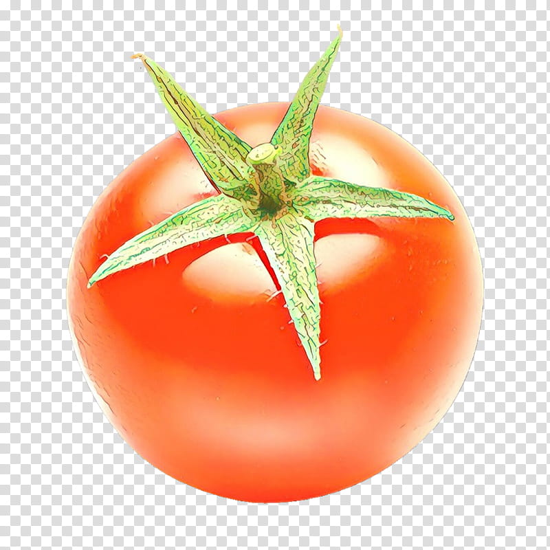 Tomato, Cartoon, Solanum, Fruit, Orange, Natural Foods, Plant, Plum Tomato transparent background PNG clipart