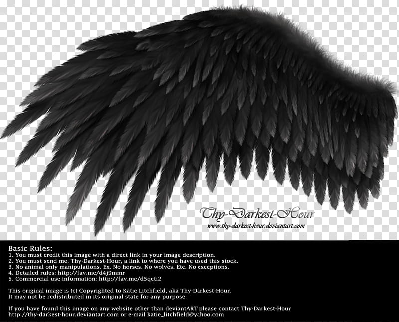 Romantic Wing Black, black wing art transparent background PNG clipart