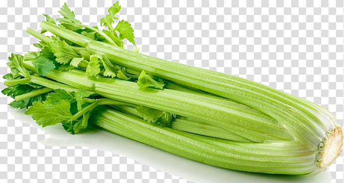 Vegetable, Food, Celeriac, Celery, Leaf Vegetable, Plant, Lettuce, Celtuce transparent background PNG clipart