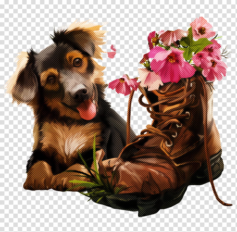 dog puppy dachshund sporting group companion dog, Plant, Flower transparent background PNG clipart