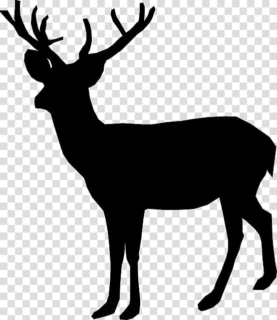 Book Silhouette, Deer, Whitetailed Deer, Reindeer, Deer Hunting, Antler, Blacktailed Deer, Red Deer transparent background PNG clipart