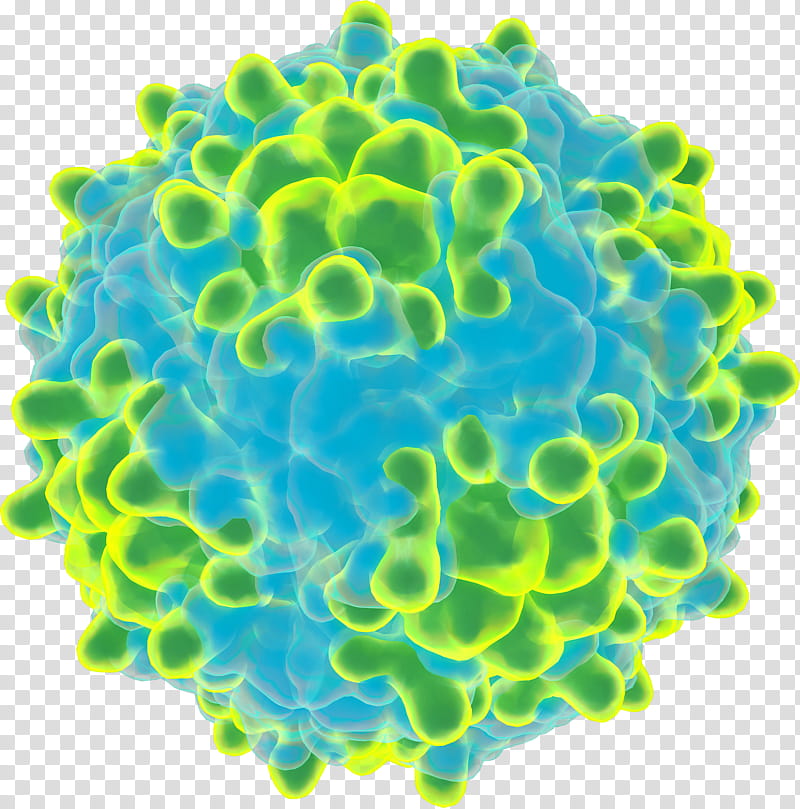 Rhinovirus Green, Virion, Zika Virus, Capsid, Viral Protein, Fact, Chemist transparent background PNG clipart