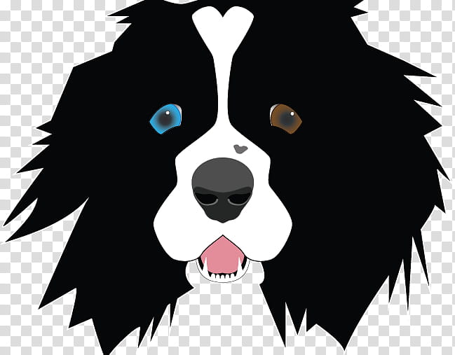 Border Collie, Puppy, Dog, Linkedin, Job, Whiskers, Snout, User Profile transparent background PNG clipart