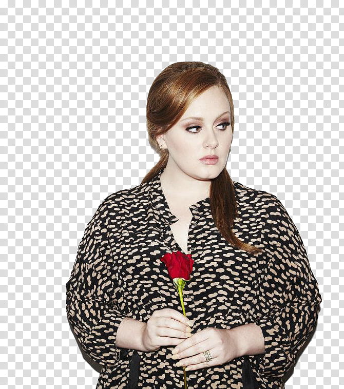 Adele transparent background PNG clipart