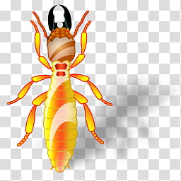 Insects, termite  icon transparent background PNG clipart