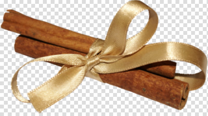 two cinnamon with brown ribbon bow transparent background PNG clipart